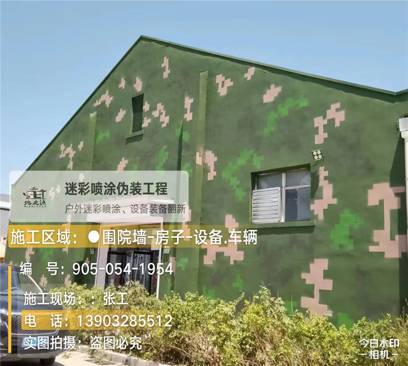 南岸外墙数码迷彩漆施工报价清单（100㎡标准墙面测算）